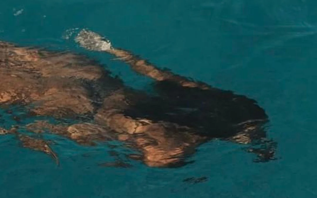 Retiro Cuerpo & Deseo